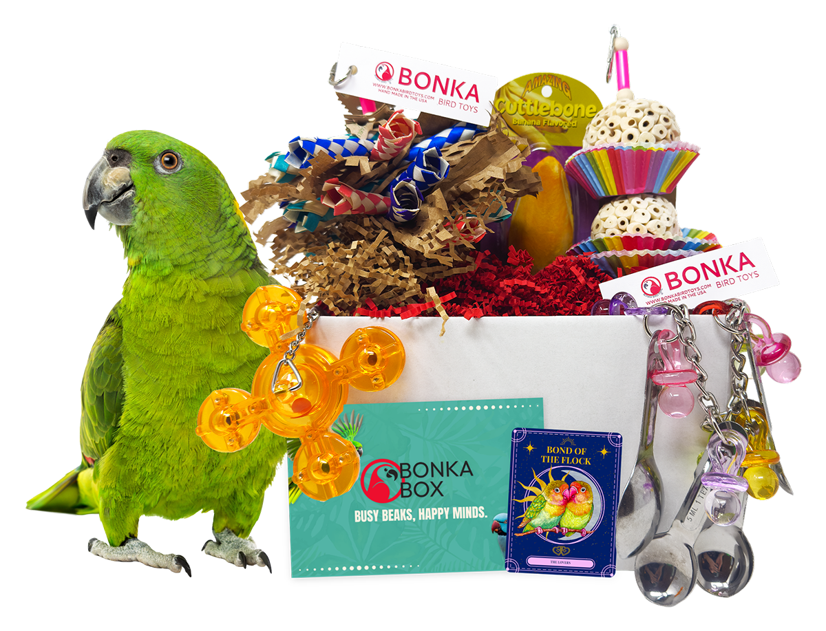 Medium Bird Toy Subscription Box