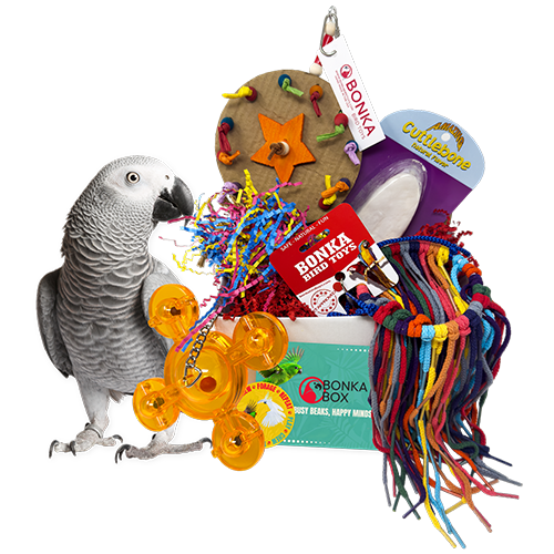 Large Bird Toy Subscription Box