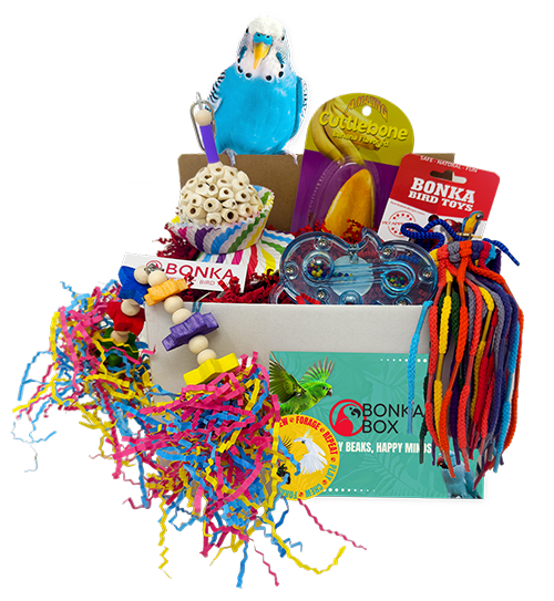 Small Bird Toy Subscription Box